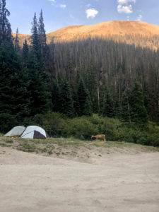 Tents at the Uncompahgre Trail Head